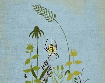 Prairie Spider Illustration Print