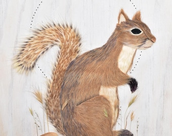 Plant art Squirrel Print