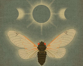 Periodical cicada/eclipse illustration print