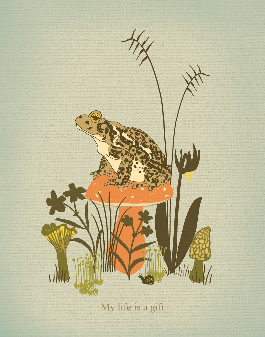 American Toad Illustration Print - Etsy