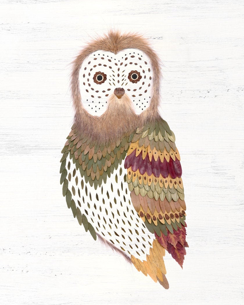 pressed plant owl print