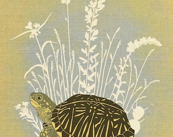 8x10 ornate box turtle illustration print