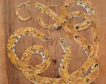 plant collage snakes print