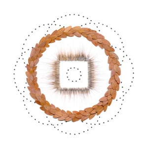 May include: A brown wreath made of leaves surrounds a square frame made of brown fur. The frame is outlined with a dotted line.