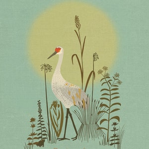 Sandhill Crane Illustration Print image 2