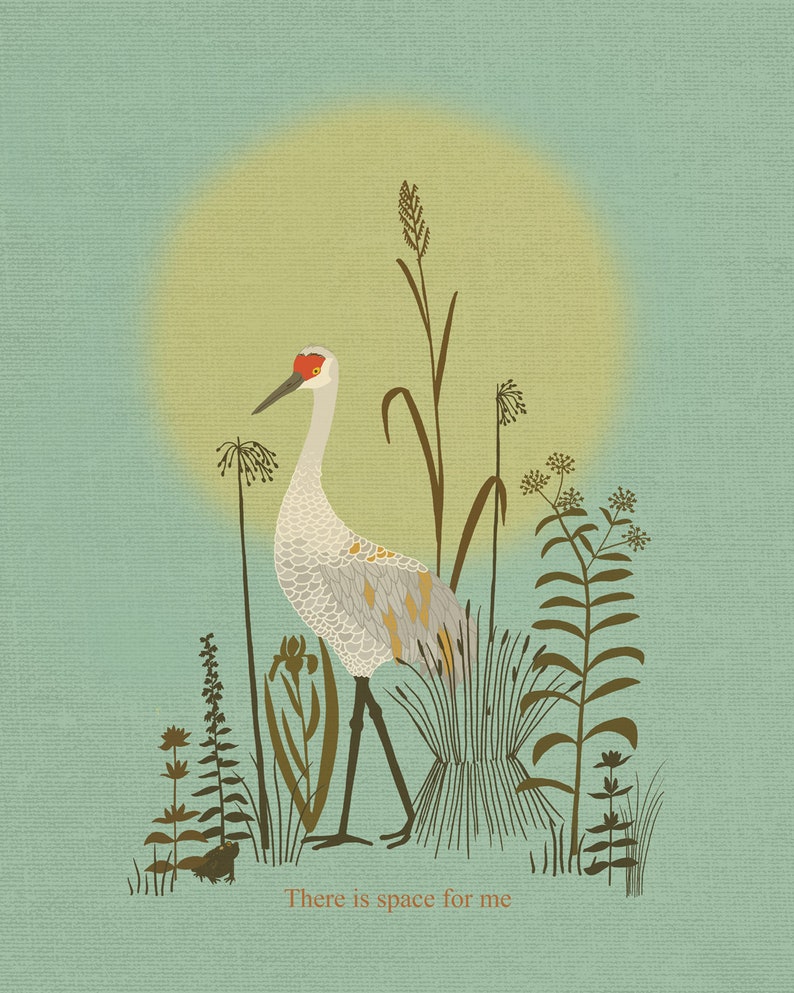 Sandhill Crane Illustration Print image 2