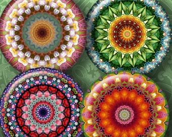 Puede incluir: Cuatro diseños de mandalas redondos y coloridos con patrones intrincados. Cada mandala presenta un círculo central rodeado de capas de motivos florales y geométricos. Los colores incluyen tonos de rosa, rojo, verde, azul, amarillo y naranja.