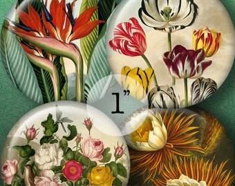 VINTAGE FLORA 1" Circles...High-quality, ready to use images