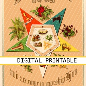 May include: A vintage printable image featuring a star at its centre with the text "We have seen His Star in the East" at the top and "and are come to worship Him." at the bottom. The star is surrounded by a six-pointed star with symbols and plants in each point.