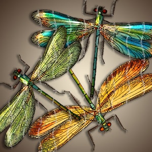 DRAGONFLIES Six PNGs...High-quality, ready to use images