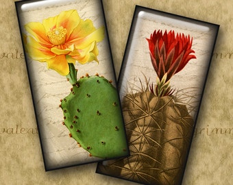 VINTAGE CACTUS 1x2" Dominoes…high-quality, ready to print images