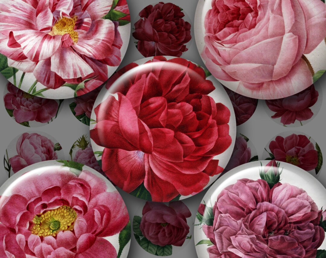 BIG BOLD ROSES 1.5