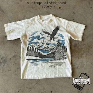 Vintage Eagle Graphic Tee, Retro Wildlife Nature Shirt, Comfort Colors Patriotic T-Shirt, Freedom Aesthetic Streetwear Top