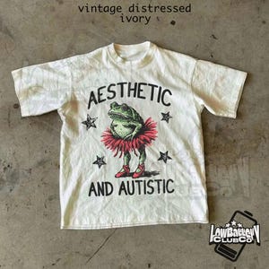 Aesthetic and Autistic Frog Shirt, Funny Neurodivergent Meme Tee, Vintage Y2K Frogcore T-Shirt, Cute Unhinged Graphic Comfort Colors Tee