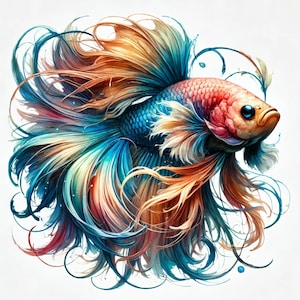 May include: A vibrant illustration of a Betta fish, showcasing a spectrum of colors. The fish features a red head, transitioning to blue scales, and a flowing tail with hues of orange, blue, and yellow. The artwork is set against a white background.