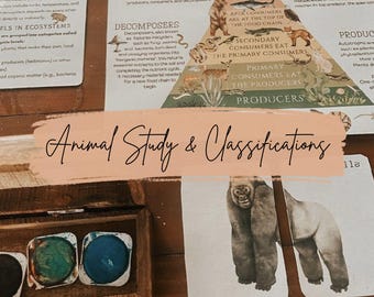 Animal Study & Classifications
