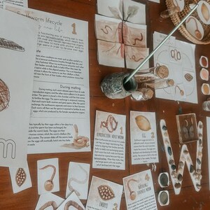 May include: Educational display about earthworms, featuring illustrations, text, and a decorative 'W' made of stones. Includes diagrams of the earthworm lifecycle, reproduction, and egg development. A small basket and glass vials are also present.