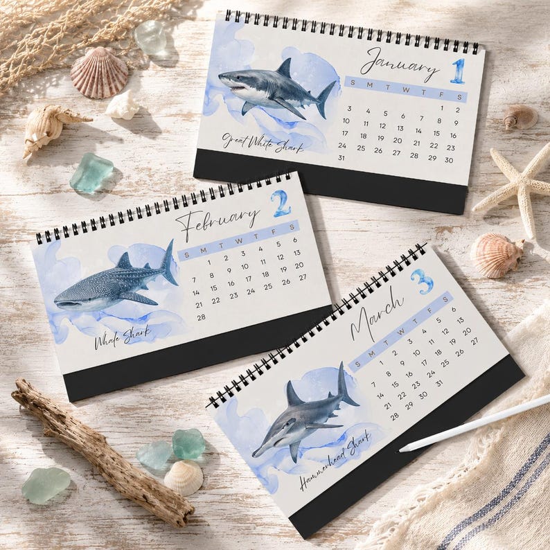 2027 Shark Desktop Calendar, Watercolor Ocean Desk Calendar, Marine Life Calendar, Shark Lover Gift, Coastal Office Decor image 5