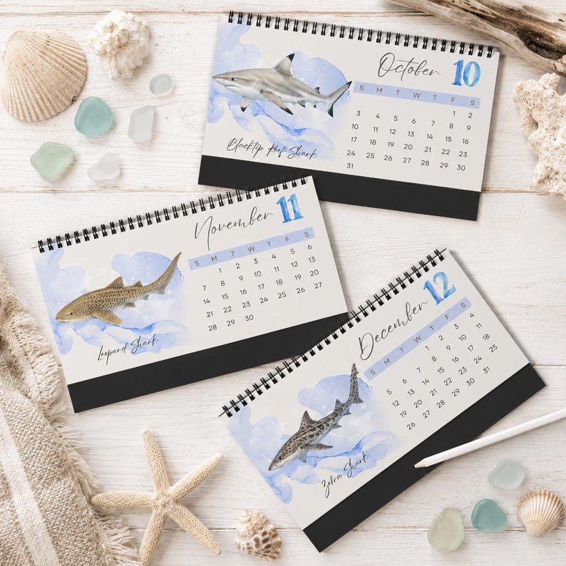 2027 Shark Desktop Calendar, Watercolor Ocean Desk Calendar, Marine Life Calendar, Shark Lover Gift, Coastal Office Decor image 8