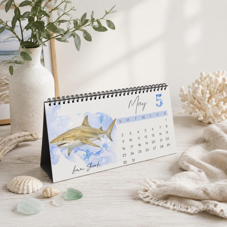 2027 Shark Desktop Calendar, Watercolor Ocean Desk Calendar, Marine Life Calendar, Shark Lover Gift, Coastal Office Decor image 4