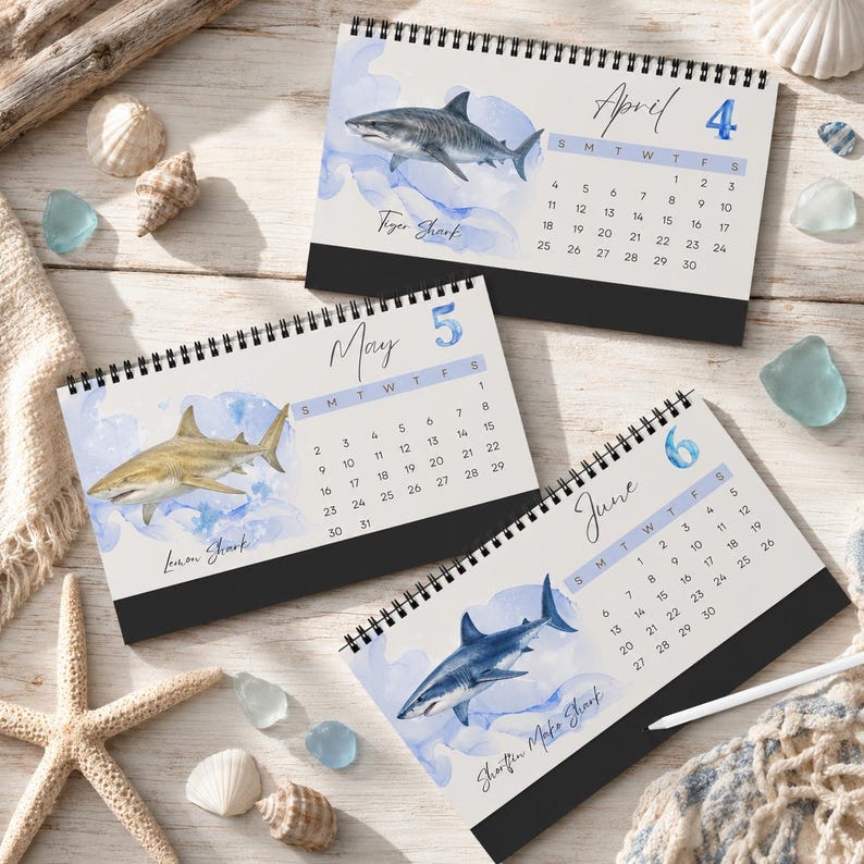 2027 Shark Desktop Calendar, Watercolor Ocean Desk Calendar, Marine Life Calendar, Shark Lover Gift, Coastal Office Decor image 6