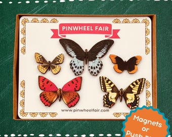 Vintage Butterfly Moth Push Pins Magnet Set | Garden Insect Lover | Entomology Gift | Vintage Style Decor | Vintage Botanical Cottagecore