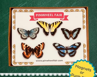 Vintage Butterfly Moth Push Pins Magnet Set | Garden Insect Lover | Entomology Gift | Vintage Style Decor | Vintage Botanical Cottagecore