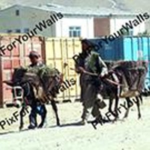 May include: Two men lead donkeys carrying supplies. The donkeys are loaded with bundles, likely for transport. The men are dressed in military-style clothing. The background includes shipping containers and a building, suggesting a logistical or military setting.
