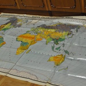 Mappa fisica della vegetazione mondiale, grande e d'epoca, per la scuola, URSS