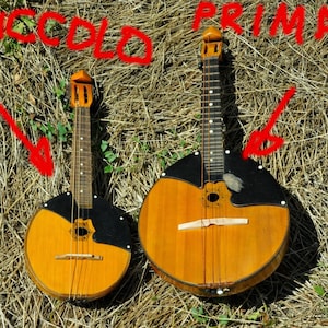 Puede incluir: Dos instrumentos de cuerda de madera, uno más pequeño etiquetado como "piccolo" y otro más grande etiquetado como "prima", están sobre un lecho de paja seca.