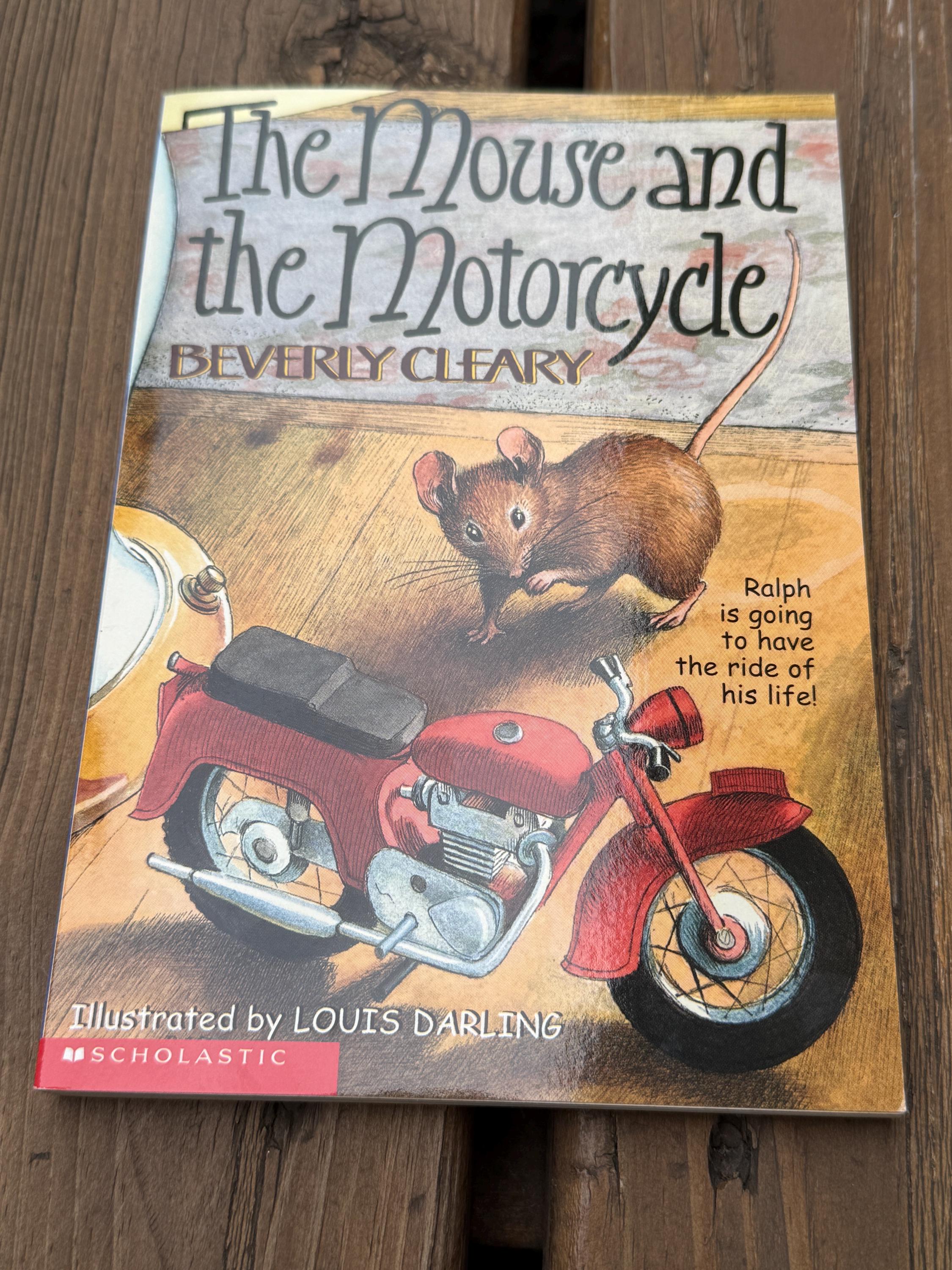 1998 Scholastic - Etsy