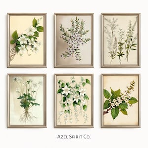 Set of 6 Vintage Botanical Prints – Printable Wall Art, Neutral Decor, Rustic Home Decor, Floral Art Download