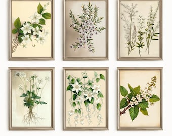 Set of 6 Vintage Botanical Prints – Printable Wall Art, Neutral Decor, Rustic Home Decor, Floral Art Download
