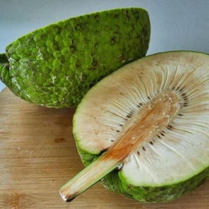 May include: A halved breadfruit, showcasing the creamy white interior and the textured green exterior. The cut reveals the fruit's fibrous structure and a central core. The breadfruit rests on a wooden cutting board, highlighting its natural form.