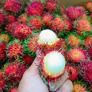 Könnte beinhalten: Nahaufnahme von Rambutanfrüchten, mit einer Hand, die zwei geschälte Früchte hält. Die Früchte haben eine rote, stachelige Außenseite und ein weißes, durchscheinendes Inneres. Der Hintergrund ist mit mehr Rambutan gefüllt.