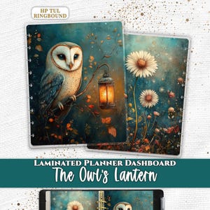 May include: Two laminated planner dashboards and a ringbound planner featuring the artwork The Owl's Lantern. The designs display a barn owl holding a glowing lantern on a branch, surrounded by white daisies and orange flowers on a teal background.