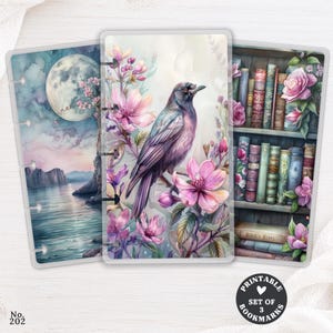 Peut inclure: Un ensemble de trois couvertures de planificateur rectangulaires illustrées : un paysage marin au clair de lune, un oiseau parmi des fleurs roses et une bibliothèque en bois remplie de livres anciens et de roses. Perforations latérales.