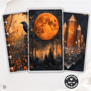 Può includere: Un set di tre copertine per agenda o segnalibri rettangolari con illustrazioni scure e suggestive. Uno mostra un corvo nero in un bosco autunnale, un altro una grande luna arancione sopra un bosco scuro e il terzo mostra cristalli color ambra.