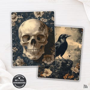 May include: Two rectangular laminated dashboard inserts with punched edges. One features a beige human skull centred on a dark blue floral background. The other displays a black raven perched on a rock amidst flowers and a cloudy sky.