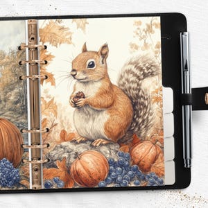 Autumn Pumpkin Squirrel Planner Dashboard Divider PDF for Happy Planner A5 A6 Pocket Half Letter in US Letter and A4 Instant Download