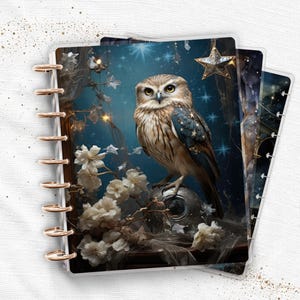 Juego de fundas laminadas para agenda / Happy Planner y TUL / Starry Owl Magic, Enchanted Library Glow / Cuaderno con encuadernación de discos