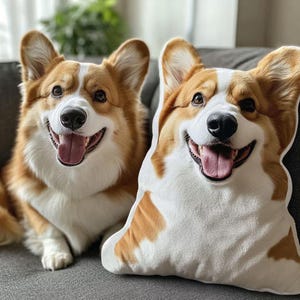 Puede incluir: Un cojín de peluche con forma de cabeza y pecho de un Corgi galés de Pembroke, con una imagen impresa realista de un perro de color canela y blanco con expresión feliz, boca abierta y lengua rosa, situado junto a un perro Corgi real.