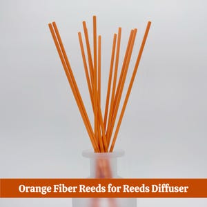 May include: A collection of bright orange fiber reeds, arranged in a clear, frosted glass diffuser bottle. The reeds are slender and straight, creating a visually appealing display. The text at the bottom reads "Orange Fiber Reeds for Reeds Diffuser."