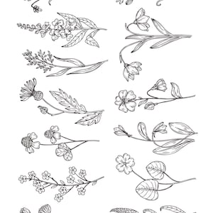 Stick and Stitch Embroidery
