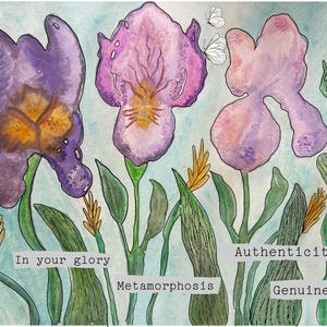 Etapas del iris