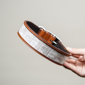 Könnte beinhalten: Ein weißes Lederhundekragen mit braunem Lederbesatz und einer silbernen Schnalle.