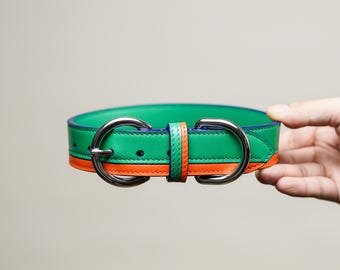 Collar para perro de cuero bicolor hecho a mano – Accesorio personalizado para mascotas