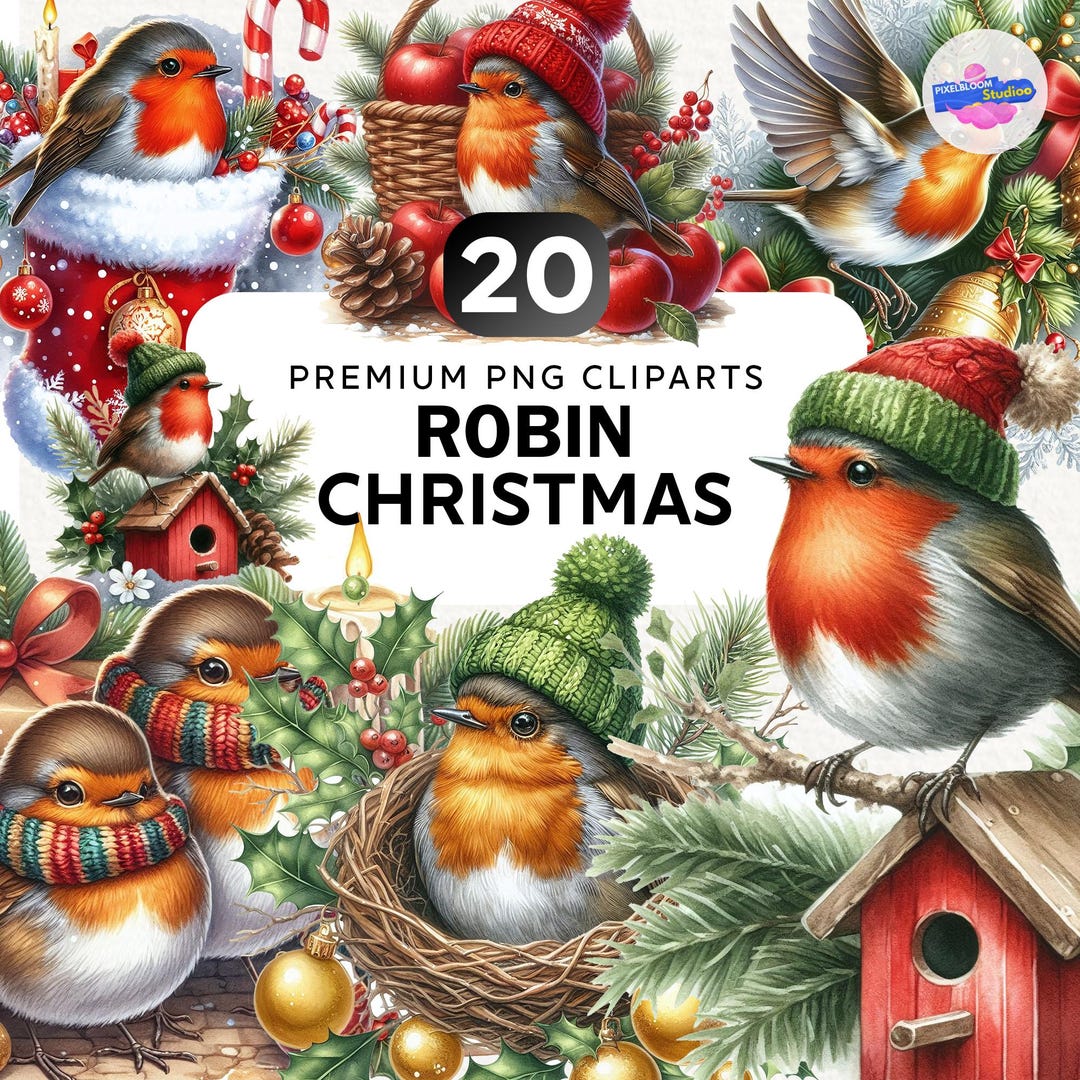 20+ Watercolor Christmas Robin Clipart Bundle, Christmas Bird Png ...
