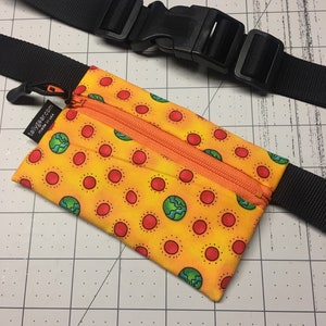 Kids insulin pump dexcom Waist Pack- Earth!