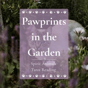 Pootafdrukken in de tuin - Spirit Animals Tarot Reading
